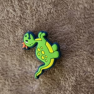 💥 5/$15 Croc Charm